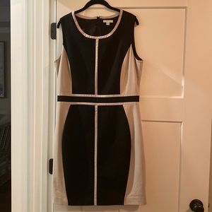NY&CO Black and Tan Dress